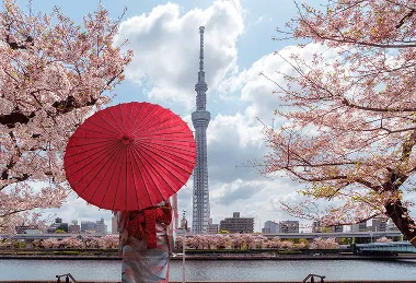 A woman in a traditional kimono, holding a red umbrella, stands in front of the river at Sumida Park during spring, with Tokyo Skytree rising tall in the background