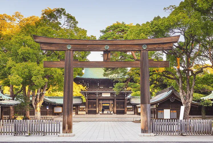 Meiji Shrine seen glowing under the clear blue sky surrounded by lush green trees in the heart of Tokyo