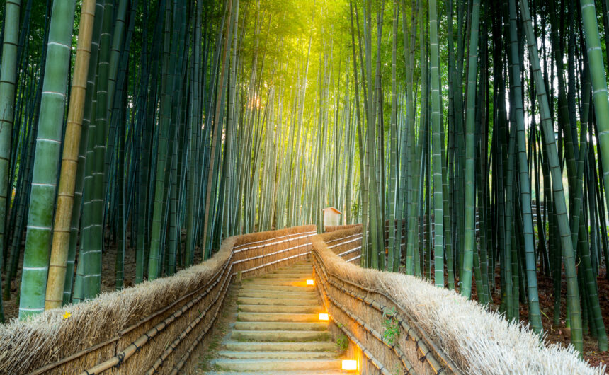 The Arashiyama Bamboo Forest is enveloped in shades of dark and light green, creating a tranquil natural canopy. Gentle lights illuminate the pathway and stairs, casting a soft glow that guides travelers through the enchanting grove, enhancing the serene and magical atmosphere of this iconic Kyoto landmark