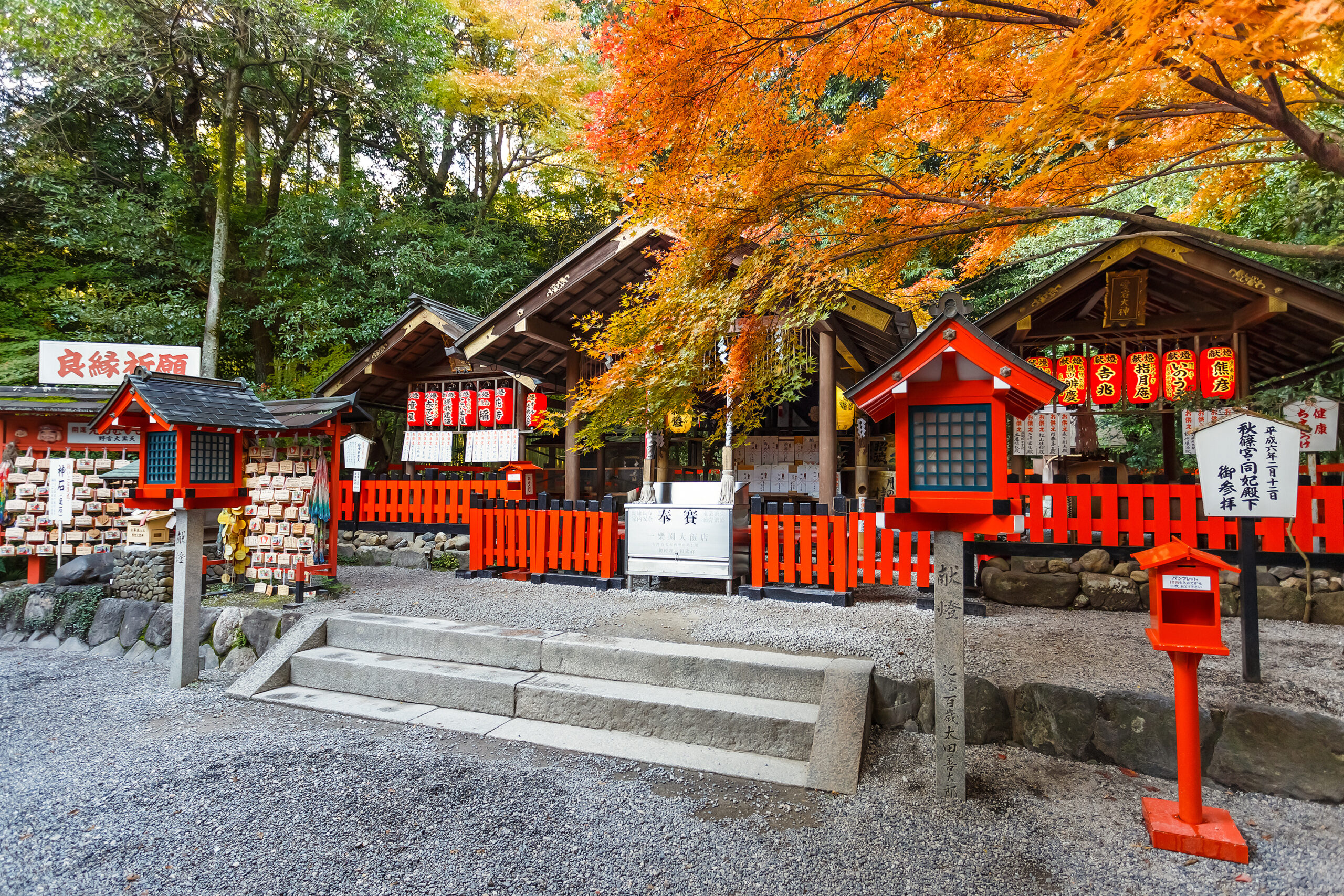 A vibrant Shinto shrine in Kyoto, Japan, is surrounded by vivid autumn foliage and traditional red lanterns, exuding a festive and tranquil atmosphere