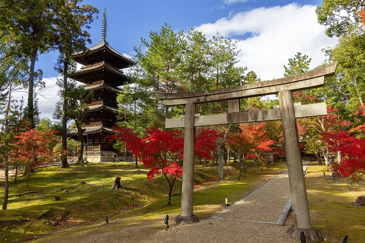 Ninna-Ji temple, historically connected to the imperial family of Japan, in autumn with its beautiful colours