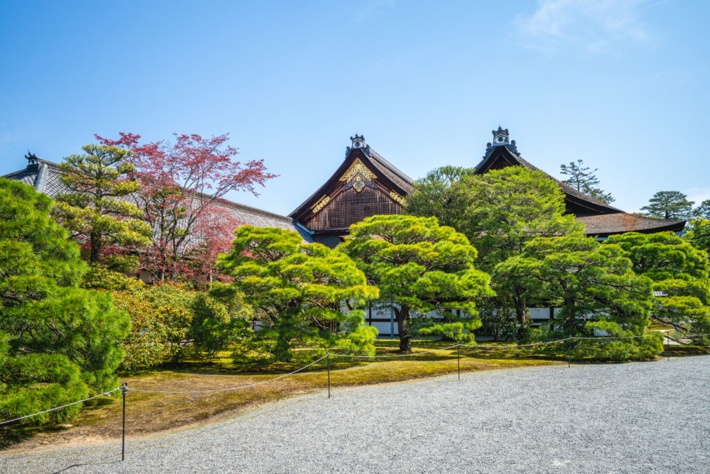 A wide view of the Kyoto Imperial Palace on a clear, sunny day, framed by lush green trees, with broad gravel paths in the foreground where tourists stroll toward the entrance